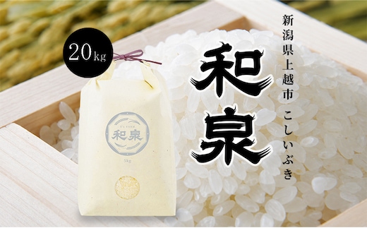 先行予約 新米 令和8年 新潟県 上越産 こしいぶき 20kg （5kg×4袋） 和泉 ワイズファーム 上越市 精米 米 ギフト 喜ばれる