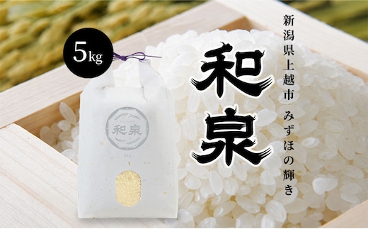 先行予約 新米 令和8年 新潟県 上越産 みずほの輝き 5kg 5キロ 和泉 ワイズファーム 上越市 精米 米 ギフト 喜ばれる