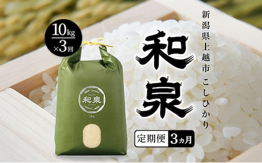 先行予約 新米 定期便3ヶ月配送 令和8年 新潟県 上越産 こしひかり 10kg （5kg×2袋）×3回 和泉 ワイズファーム 上越市 精米 米 ギフト 喜ばれる コシヒカリ