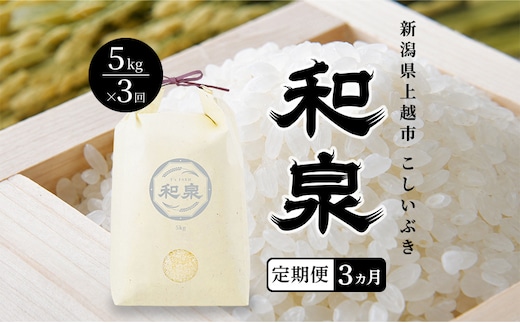 先行予約 新米 定期便3ヶ月配送 令和8年 新潟県 上越産 こしいぶき 5kg 5キロ×3回 和泉 ワイズファーム 上越市 精米 米 ギフト 喜ばれる