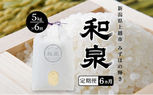 先行予約 新米 定期便6ヶ月配送 令和8年 新潟県 上越産 みずほの輝き 5kg 5キロ×6回 和泉 ワイズファーム 上越市 精米 米 ギフト 喜ばれる