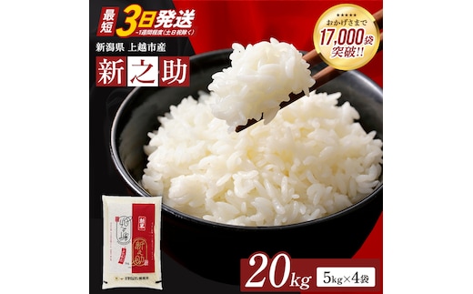 【最短3日発送】令和7年産 新之助 無洗米 新潟県 上越産 20kg (5kg×4) しんのすけ 五つ星お米マイスターのいるお店 お米 精米 米 ご飯 大黒屋商店