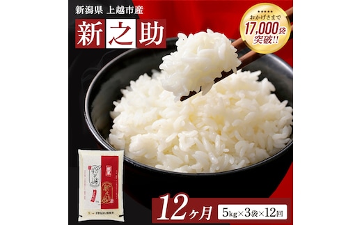 8月開始 新之助 無洗米 新潟県 上越産 15kg (5kg×3) 12か月 定期便 しんのすけ 五つ星お米マイスターのいるお店 お米 精米 米 ご飯 大黒屋商店