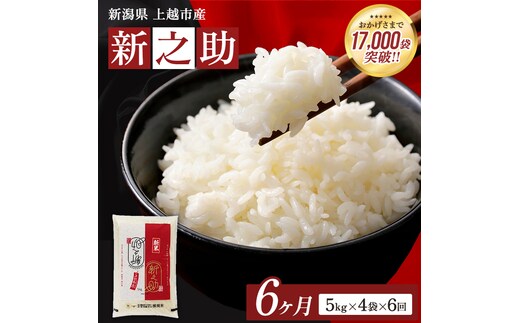 8月開始 新之助 無洗米 新潟県 上越産 20kg (5kg×4) 6か月 定期便 しんのすけ 五つ星お米マイスターのいるお店 お米 精米 米 ご飯 大黒屋商店