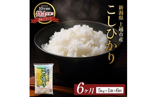 8月開始 コシヒカリ 無洗米 新潟県 上越産 5kg 6か月 定期便 こしひかり 五つ星お米マイスターのいるお店 お米 精米 米 ご飯 大黒屋商店