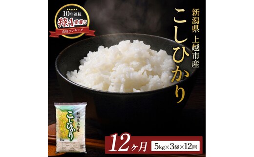 8月開始 コシヒカリ 無洗米 新潟県 上越産 15kg (5kg×3) 12か月 定期便 こしひかり 五つ星お米マイスターのいるお店 お米 精米 米 ご飯 大黒屋商店