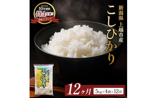 8月開始 コシヒカリ 無洗米 新潟県 上越産 20kg (5kg×4) 12か月 定期便 こしひかり 五つ星お米マイスターのいるお店 お米 精米 米 ご飯 大黒屋商店