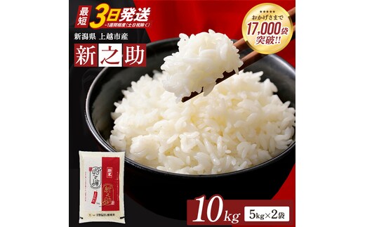 【最短3日発送】令和7年産 新之助 無洗米 新潟県 上越産 10kg (5kg×2) しんのすけ 五つ星お米マイスターのいるお店 お米 精米 米 ご飯 大黒屋商店
