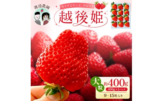 【先行予約｜2027年5月上旬より出荷開始】いちご 大粒 カラダよろこぶ 越後姫 約400g×1パック (9～15粒入り) 定植後化学農薬不使用 イチゴ 苺 渡辺農園 上越市 新潟県