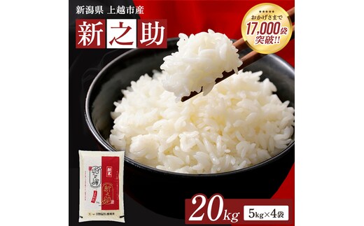 【1月上旬配送】令和8年（新米） 新潟県上越市産 新之助 20kg 無洗米 しんのすけ お米 精米 米 ご飯 五つ星お米マイスター 大黒屋商店