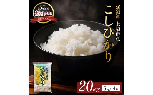 【12月下旬配送】令和8年（新米） 新潟県上越市産 コシヒカリ 20kg 無洗米 こしひかり お米 精米 米 ご飯 五つ星お米マイスター 大黒屋商店