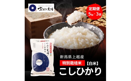 令和8年産 新潟県上越産 特別栽培米 コシヒカリ 定期便 5kg×3回 計15kg 【白米】 従来品種 こしひかり 新米 おおた農場 上越市