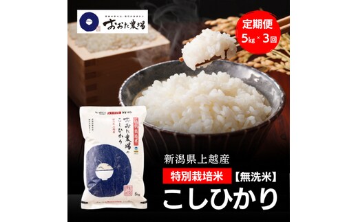 令和8年産 新潟県上越産 特別栽培米 コシヒカリ 定期便 5kg×3回 計15kg 【無洗米】 従来品種 こしひかり 新米 おおた農場 上越市