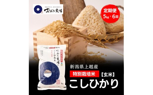 令和8年産 新潟県上越産 特別栽培米 コシヒカリ 定期便 5kg×6回 計30kg 【玄米】 従来品種 こしひかり 新米 おおた農場 上越市