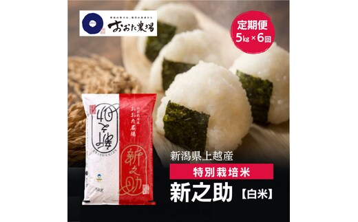 令和8年産 新潟県上越産 特別栽培米 新之助 定期便 5kg×6回 計30kg 【白米】 しんのすけ 新米 おおた農場 上越市