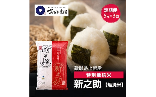 令和8年産 新潟県上越産 特別栽培米 新之助 定期便 5kg×3回 計15kg 【無洗米】 しんのすけ 新米 おおた農場 上越市