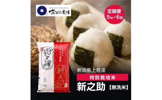令和8年産 新潟県上越産 特別栽培米 新之助 定期便 5kg×6回 計30kg 【無洗米】 しんのすけ 新米 おおた農場 上越市