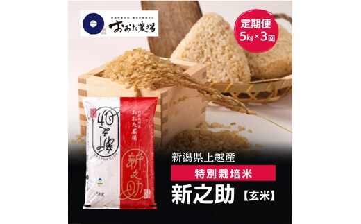 令和8年産 新潟県上越産 特別栽培米 新之助 定期便 5kg×3回 計15kg 【玄米】 新米 おおた農場 上越市