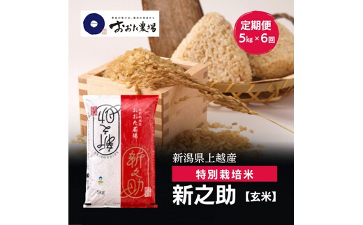 令和8年産 新潟県上越産 特別栽培米 新之助 定期便 5kg×6回 計30kg 【玄米】 新米 おおた農場 上越市