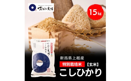 令和8年産 新潟県上越産 特別栽培米 コシヒカリ 15kg 15キロ（5kg×3） 【玄米】 従来品種 こしひかり 新米 おおた農場 上越市
