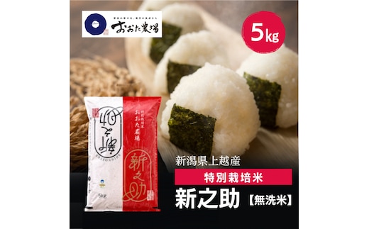 令和8年産 新潟県上越産 特別栽培米 新之助 5kg 5キロ 【無洗米】 しんのすけ 新米 おおた農場 上越市