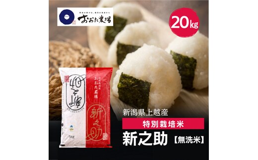 令和8年産 新潟県上越産 特別栽培米 新之助 20kg 20キロ（5kg×4） 【無洗米】 しんのすけ 新米 おおた農場 上越市