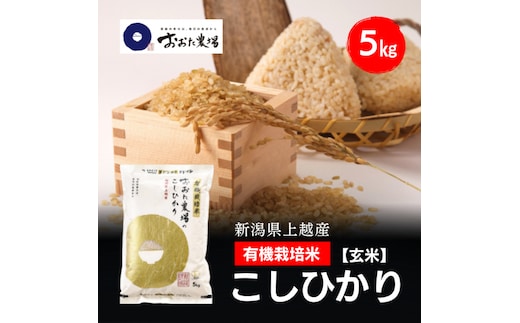 令和8年産 新潟県上越産 有機栽培米 コシヒカリ 5kg 5キロ【玄米】 JAS有機栽培 こしひかり 新米 おおた農場 上越市