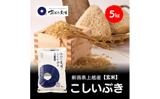 令和8年産 新潟県上越産 こしいぶき 5kg 5キロ【玄米】 新米 おおた農場 上越市