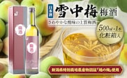 雪中梅 梅酒 500ml 化粧箱入｜酒 お酒 贈答 プレゼント 贈り物 おすすめ ふるさと納税 人気 新潟 新潟県産 にいがた 上越 上越産