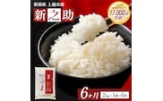 【令和8年産 先行予約】 新之助 無洗米 新潟県 上越産 2kg 6か月 定期便 しんのすけ 五つ星お米マイスターのいるお店 お米 精米 米 ご飯 大黒屋商店