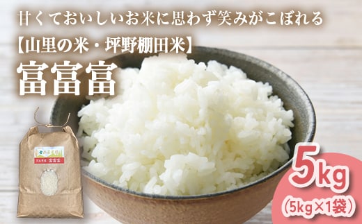 山の湧き水 寒暖差 山里 山里の米･坪野米 R8年産 富富富 5kg ｜ふふふ 新米 こめ コメ お米 おこめ 白米 精米 香り うまみ あまみ 自慢 高品質 富山 魚津 ※北海道・沖縄・離島への配送不可 ※2026年9月～発送