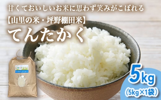 山の湧き水 寒暖差 山里 山里の米･坪野米 R8年産 てんたかく 5kg ｜新米 こめ コメ お米 おこめ 白米 精米 お弁当 おにぎり 香り うまみ あまみ 富山 魚津 ※北海道・沖縄・離島への配送不可 ※2026年9月～発送