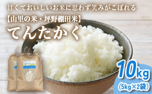 山の湧き水 寒暖差 山里 山里の米･坪野米 R8年産 てんたかく 10kg（5kg×2）｜ 新米 こめ コメ お米 おこめ 白米 精米 お弁当 おにぎり 香り うまみ あまみ 富山 魚津 ※北海道・沖縄・離島への配送不可 ※2026年9月～発送