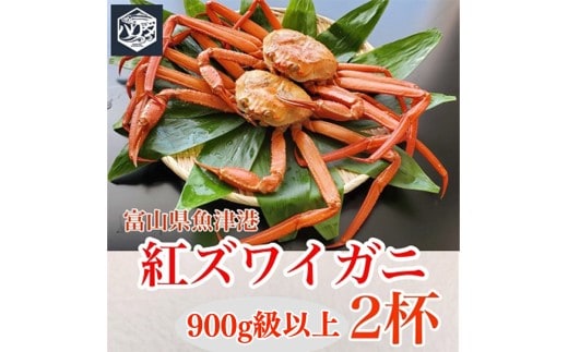 【冷蔵・ボイル済】魚卸問屋のベニズワイガニ 900g級以上×2杯｜はりたや 魚貝類 魚介類 海鮮 ずわい蟹 ずわいガニ 紅ズワイガニ 大きい セット 濃厚かにみそ 蟹しゃぶ 蟹飯 カニ鍋 人気 豪華 お取り寄せ 北陸 富山県 富山湾 魚津市 送料無料 ※2025年9月下旬～2026年5月下旬頃に順次発送予定 ※北海道・沖縄・離島への配送不可