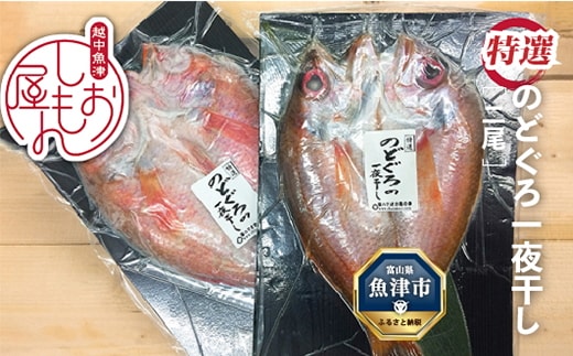 脂じゅわり【特選】のどぐろ一夜干し2尾 富山産（1尾200g以上）ハマオカ海の幸 ※北海道、沖縄、離島配送不可