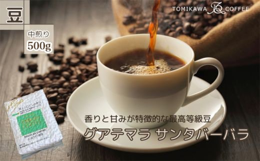 自家焙煎コーヒー豆専門店とみかわの「グアテマラ サンタバーバラ」500g（豆）