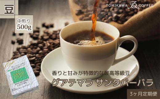【3ヶ月定期便】自家焙煎コーヒー豆専門店とみかわの「グアテマラ サンタバーバラ」500g（豆）