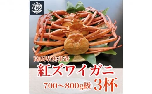 【冷蔵・ボイル済】魚卸問屋のベニズワイガニ 700～800g級×3杯｜魚貝類 魚介類 海鮮 はりたや ずわい蟹 ずわいガニ 紅ズワイガニ 大きめ セット 濃厚かにみそ 蟹しゃぶ 蟹飯 人気 豪華 お取り寄せ 北陸 富山県 富山湾 魚津市 送料無料 ※2025年9月下旬～2026年5月下旬頃に順次発送予定 ※北海道・沖縄・離島への配送不可