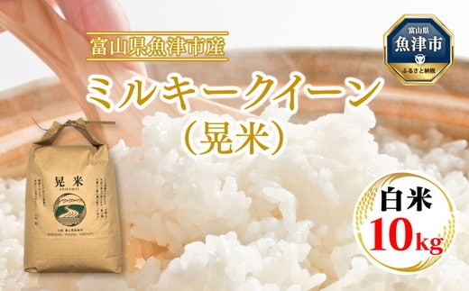 【令和7年度米】【農家直送】環境配慮「魚津のミルキークイーン（晃米）」10kg（白米） ｜新米 MK農産 白米 銘柄米 ブランド米 ご飯 おにぎり お弁当 和食 主食 国産 産地直送 甘み 香り もちもち ※北海道・沖縄・離島への配送不可