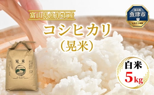 【令和8年度米】【農家直送】環境配慮「魚津のコシヒカリ（晃米）」5kg（白米） ｜新米 MK農産 白米 銘柄米 ブランド米 ご飯 おにぎり お弁当 和食 主食 国産 産地直送 甘み 香り もちもち ※2026年10月～発送