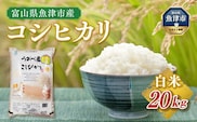 【令和6年度米】米 コシヒカリ 20kg (5kg×4袋)  ※2024年10月中旬頃より順次発送予定 ※北海道、沖縄、離島配送不可