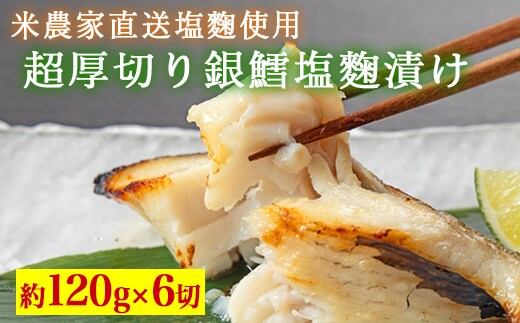 超厚切り銀鱈塩麹漬 6切入 ※北海道・沖縄・離島への配送不可