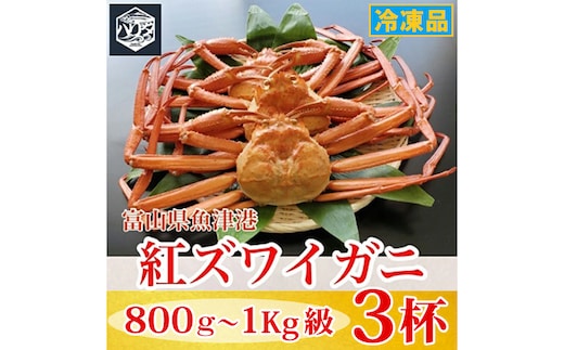 【冷凍】自社漁船直送！魚卸問屋の紅ズワイガニ 800g～1kg級×3ハイセット｜かに カニ 蟹 国産ずわい蟹 ずわいガニ 紅ズワイ蟹 紅ずわいがに 紅ずわい蟹 ボイル セットかにしゃぶ 魚貝類 魚介類 海鮮 鮮魚 新鮮 蟹飯 人気 豪華 ご褒美 贅沢 お取り寄せ グルメ カニ味噌 ※2026年9月～発送