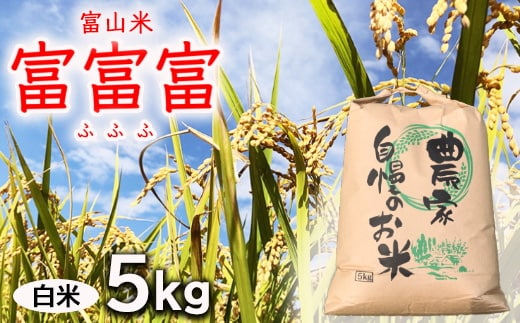 【令和7年度米】【先行予約】農家直送「 富富富 」5kg（白米）｜富山米 ふふふ ※北海道・沖縄・離島への配送不可