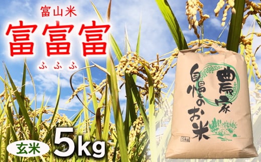 【令和7年度米】【先行予約】農家直送「 富富富 」5kg（玄米）｜富山米 ふふふ ※北海道・沖縄・離島への配送不可