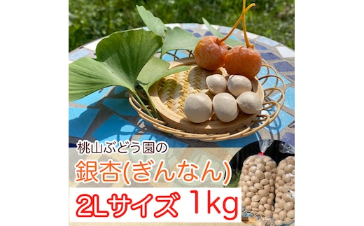【早期予約】『ぎんなん(殻付き)』2Lサイズ 約1kg ※北海道・沖縄・離島への配送不可 ※2026年11月～発送