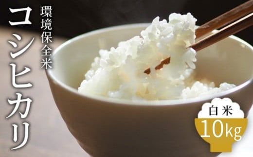 令和7年産 白米 環境保全米 コシヒカリ 10kg｜棚田米 お米 こしひかり こめ コメ 精米 おこめ もちもち 冷めても 美味しい 高品質 富山 魚津※北海道・沖縄・離島への配送不可