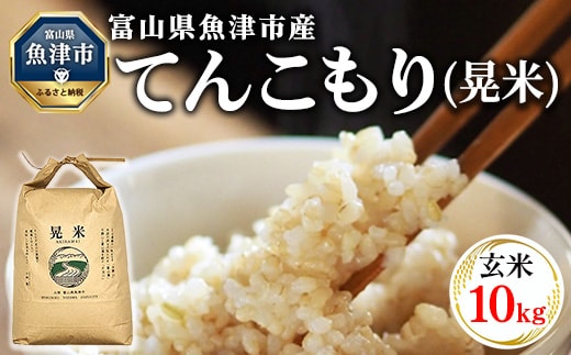 【令和8年度米】【農家直送】環境配慮「魚津のてんこもり（晃米）」10kg（玄米） ｜ 新米 MK農産 玄米 銘柄米 ご飯 おにぎり お弁当 和食 主食 国産 産地直送 甘み 香り もちもち ※2026年11月～発送