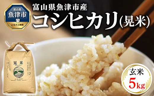 【令和8年度米】【農家直送】環境配慮「魚津のコシヒカリ（晃米）」5kg（玄米） ｜新米 MK農産 玄米 銘柄米 ブランド米 ご飯 おにぎり お弁当 和食 主食 国産 産地直送 甘み 香り もちもち ※2026年10月～発送