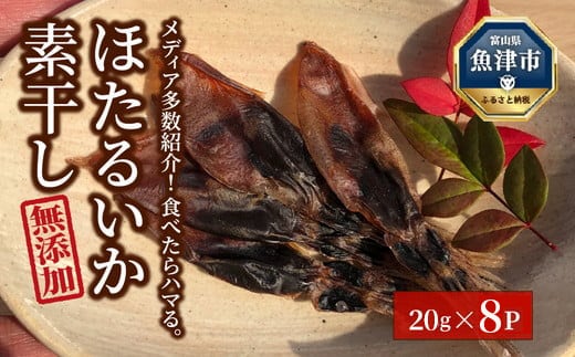 ほたるいか 素干し 160g (20g×8袋 )セット | 全国水産加工業協同組合連行会会長賞受賞 浜浦水産 おつまみ つまみ 珍味 いか イカ 干物 ひもの 魚介 魚介類 海鮮 ※北海道、沖縄、離島への配送不可